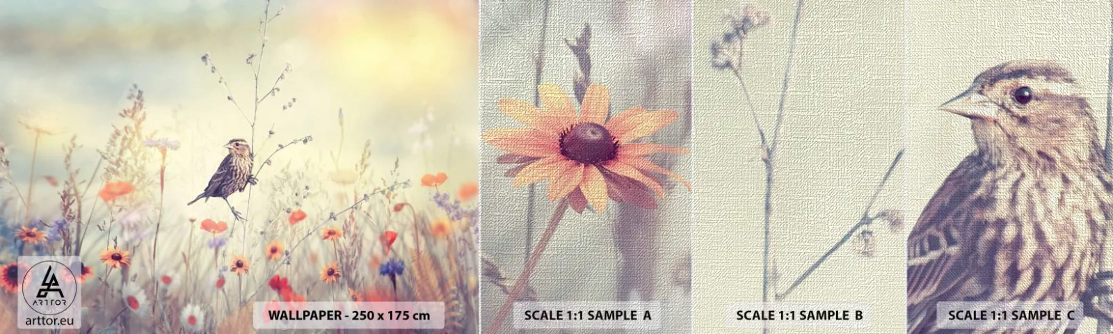 Échantillon de Papier Peint Premium Canvas - Portrait d'oiseau sur pré en fond - Oiseau, Prairie, Nature - 100x30 cm