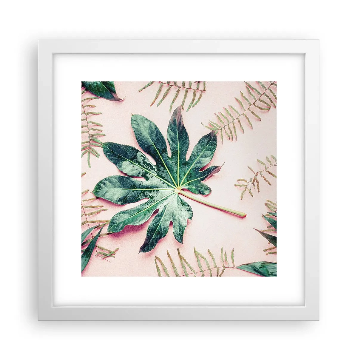 Affiche dans un cadre blanc - Poster - Étude de verdure sur fond rose - 30x30 cm