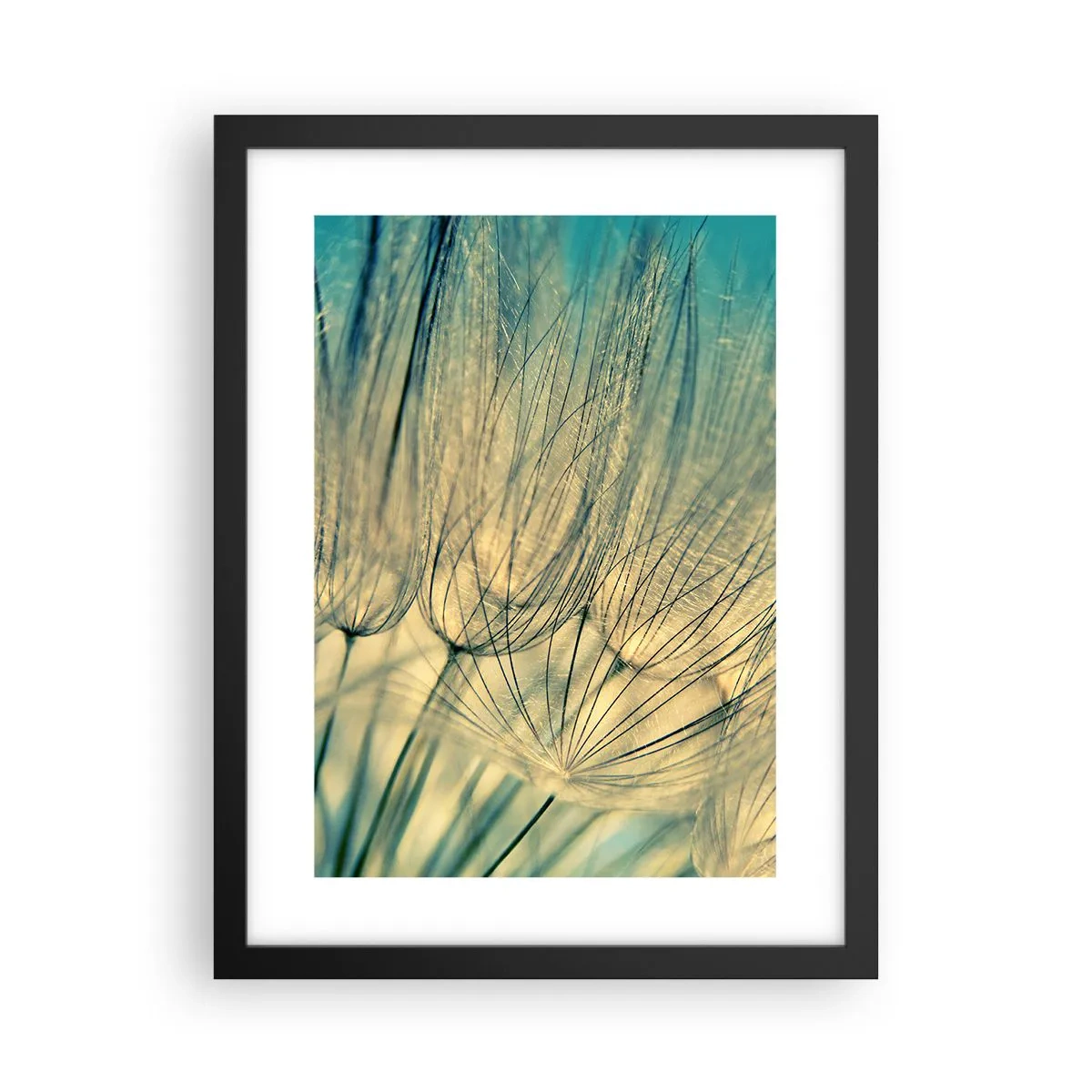 Affiche dans un cadre noir - Poster - En attente du vent - 30x40 cm