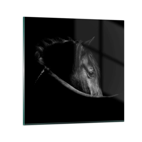 Impression sur verre - Image sur verre - Prince Noir - 30x30 cm