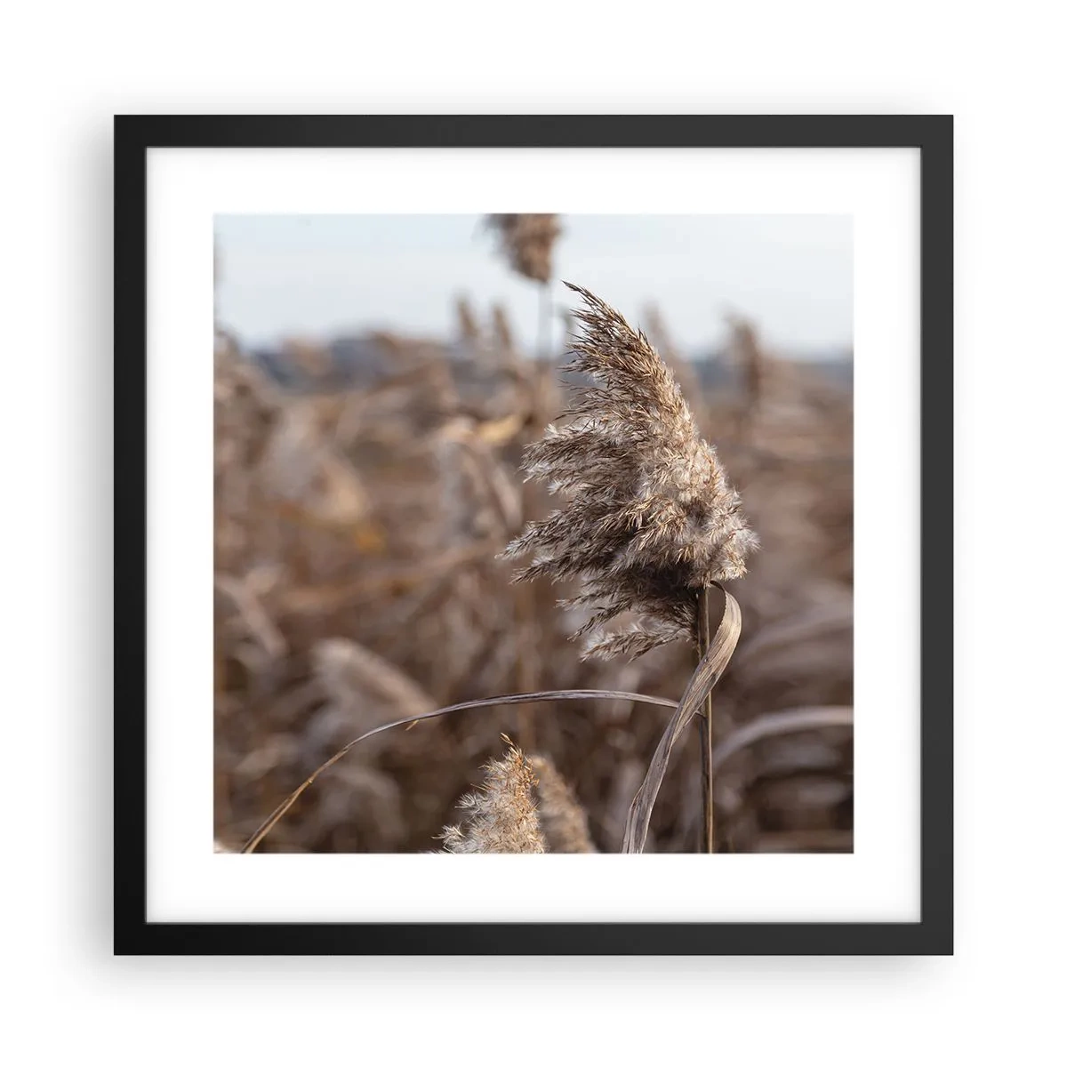 Affiche dans un cadre noir - Poster - Il est temps de s'envoler avec le vent - 40x40 cm