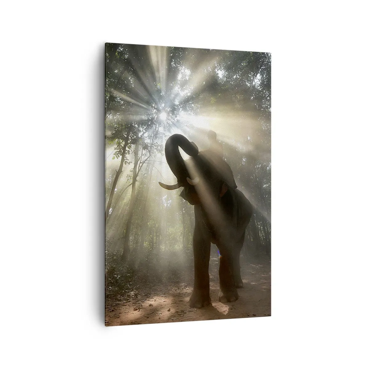 Impression sur toile - Image sur toile - Un éléphant dans la forêt entouré de rayons de lumière dans la brume matinale - 80x120cm - Sous la bonne étoile - Décoration murale moderne pour le salon et la chambre ARTTOR