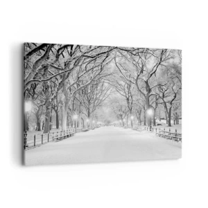 Impression sur toile - Image sur toile - Une allée d'hiver avec des arbres enneigés en monochrome - 100x70cm - Les quatres saisons – l’hiver - Décoration murale moderne pour le salon et la chambre ARTTOR