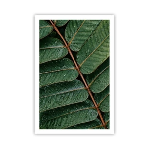 Affiche - Poster - Au rythme de la verdure - 61x91 cm