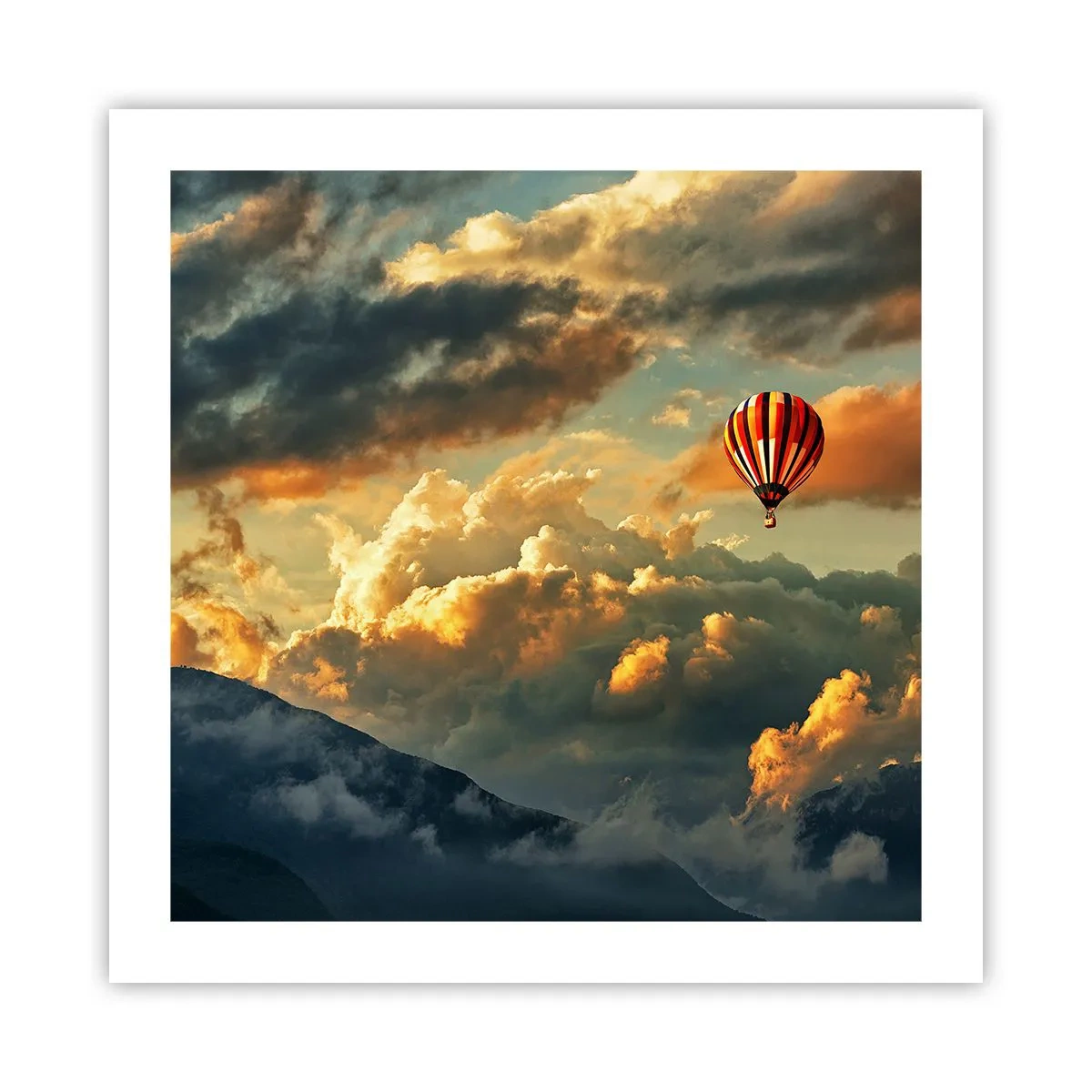 Affiche - Poster - Je vole parce que je veux - 50x50 cm