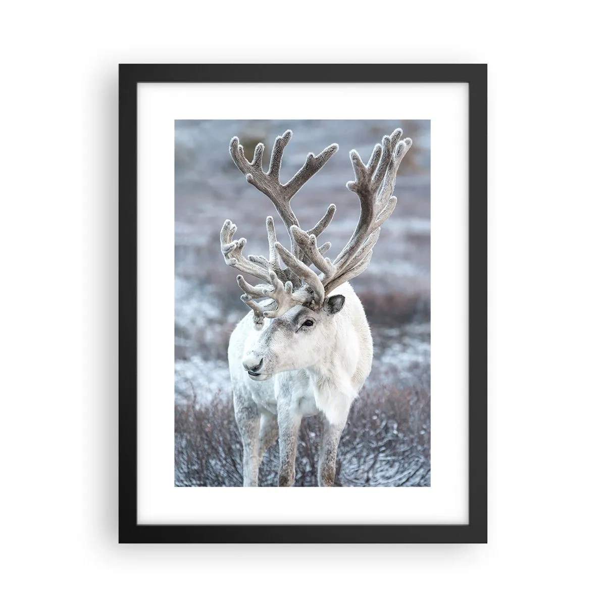 Affiche dans un cadre noir - Poster - Portrait au soleil - 30x40 cm