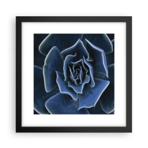 Affiche dans un cadre noir - Poster - Fleur du désert - 30x30 cm