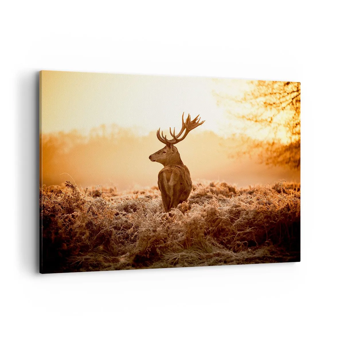 Impression sur toile - Image sur toile - Cerf dans les rayons du soleil levant - 100x70cm - Seigneur du domaine - Décoration murale moderne pour le salon et la chambre ARTTOR