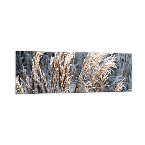 Impression sur verre - Image sur verre - Brins d'herbe d'hiver recouverts de givre sur un fond vert foncé - 160x50cm - Habillé de givre - Décoration murale moderne pour le salon et la chambre ARTTOR