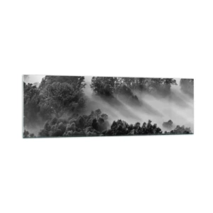 Impression sur verre - Image sur verre - Paysage forestier noir et blanc dans le brouillard du matin - 160x50cm - Sortir de son sommeil - Décoration murale moderne pour le salon et la chambre ARTTOR