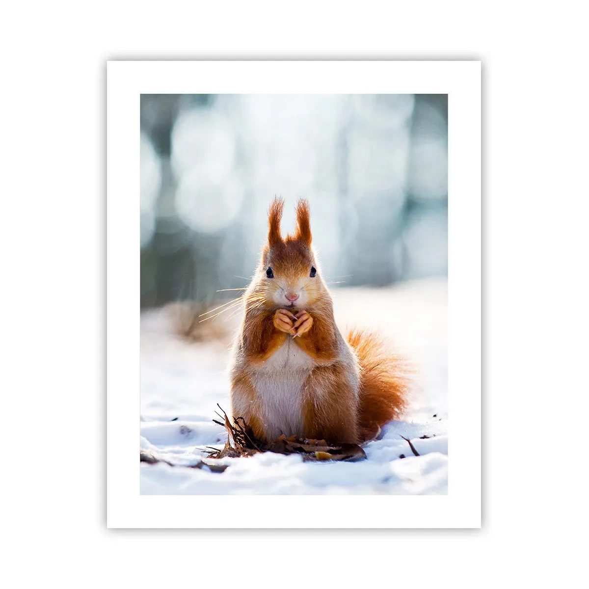 Affiche - Poster - Qu'est ce que tu regardes comme ça? - 40x50 cm