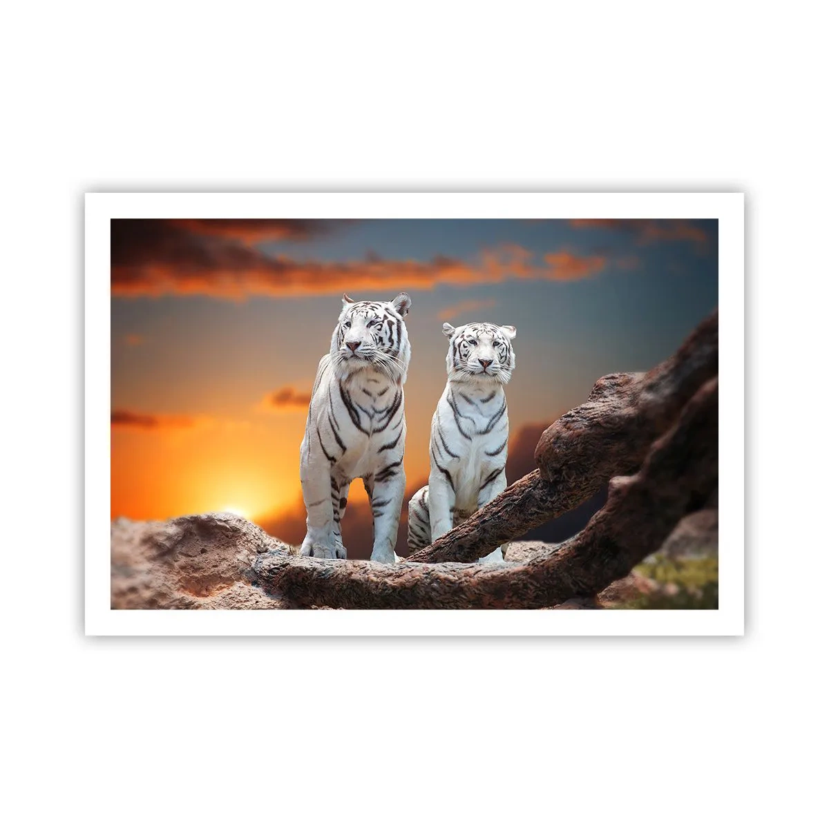 Affiche - Poster - Tout comme à Narnia - 91x61 cm