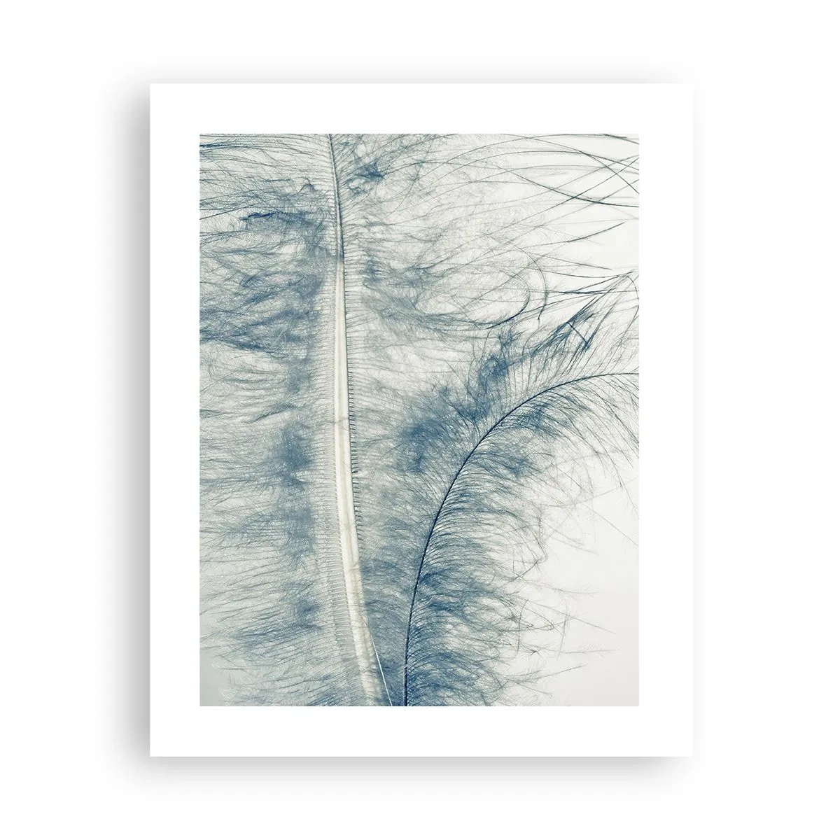 Affiche - Poster - Les sept natures - 40x50 cm