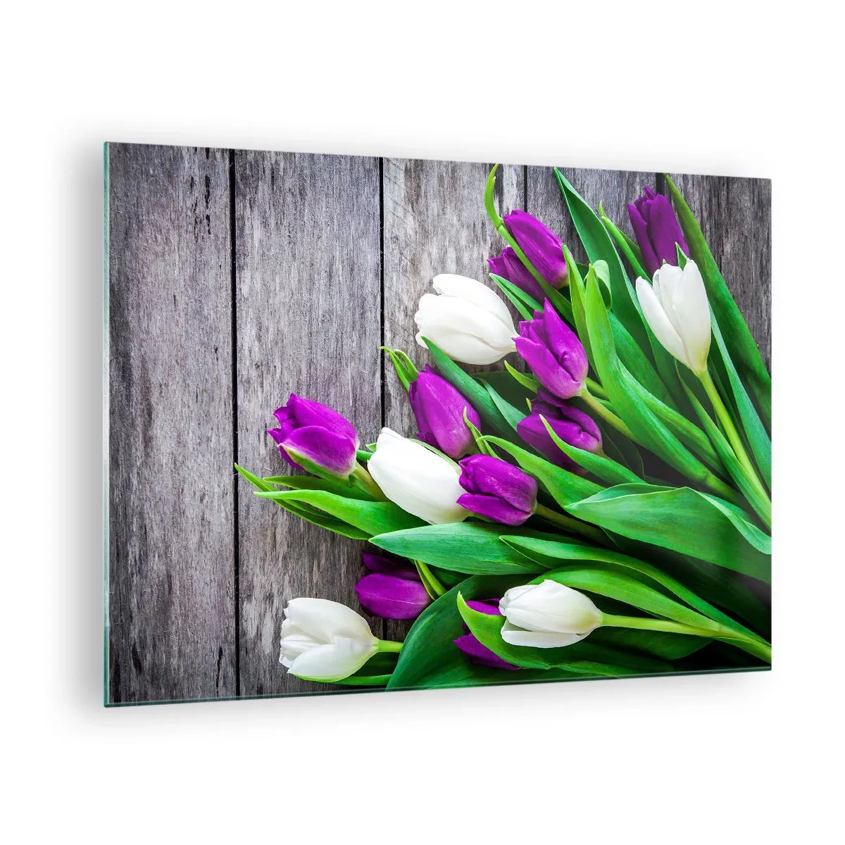Impression sur verre - Image sur verre - Un bouquet de tulipes violettes et blanches sur un fond en bois - 70x50cm - Le jour des vacances de printemps - Décoration murale moderne pour le salon et la chambre ARTTOR