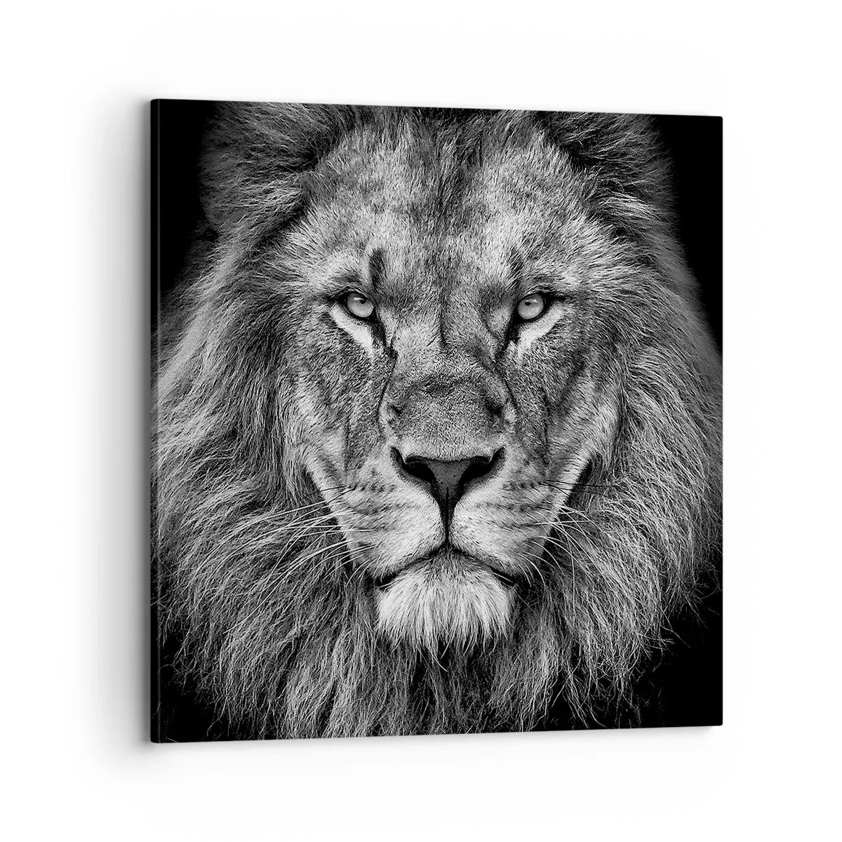 Impression sur toile - Image sur toile - En vêtement de sacre - 70x70 cm