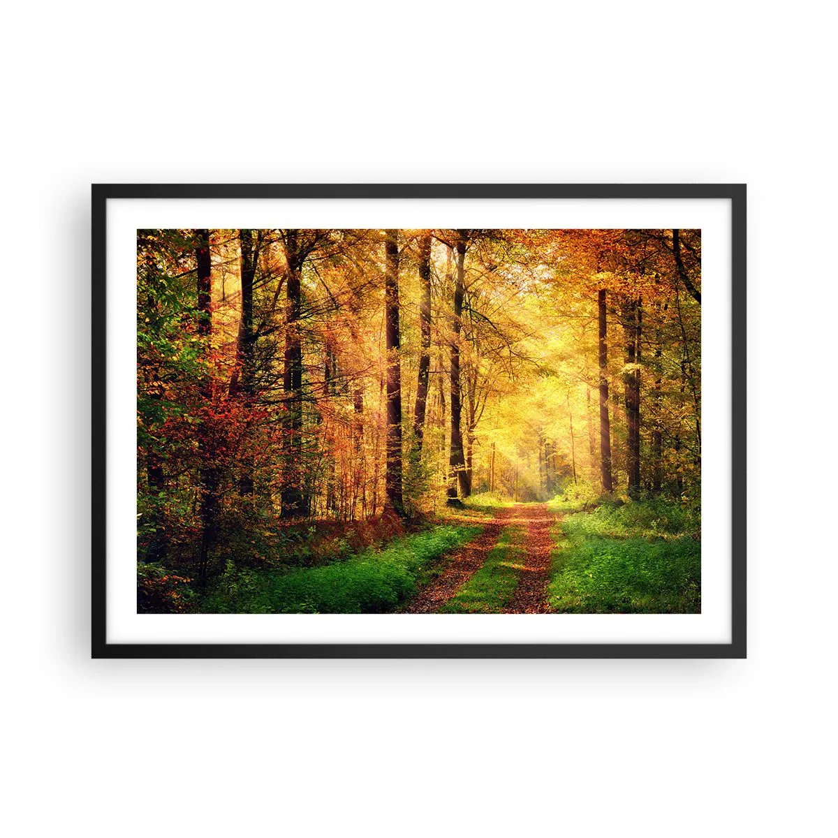 Affiche dans un cadre noir - Poster - Un chemin forestier entouré d'arbres dorés et verts - 70x50cm - Silence d'or en forêt - Décoration murale moderne pour le salon et la chambre ARTTOR