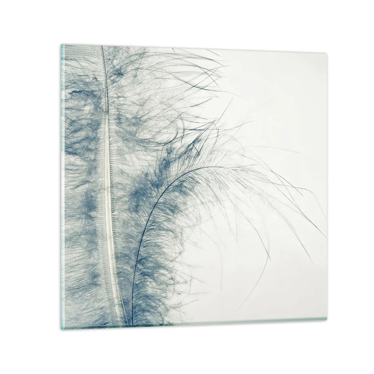 Impression sur verre - Image sur verre - Les sept natures - 30x30 cm