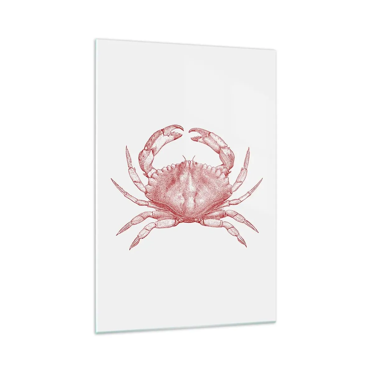 Impression sur verre - Image sur verre - Dessin d'un crabe dans une teinte rouge - 70x100cm - Le crabe des crabes - Décoration murale moderne pour le salon et la chambre ARTTOR