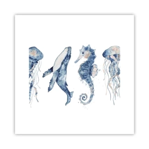 Affiche - Poster - Merveilles de la mer - 30x30 cm