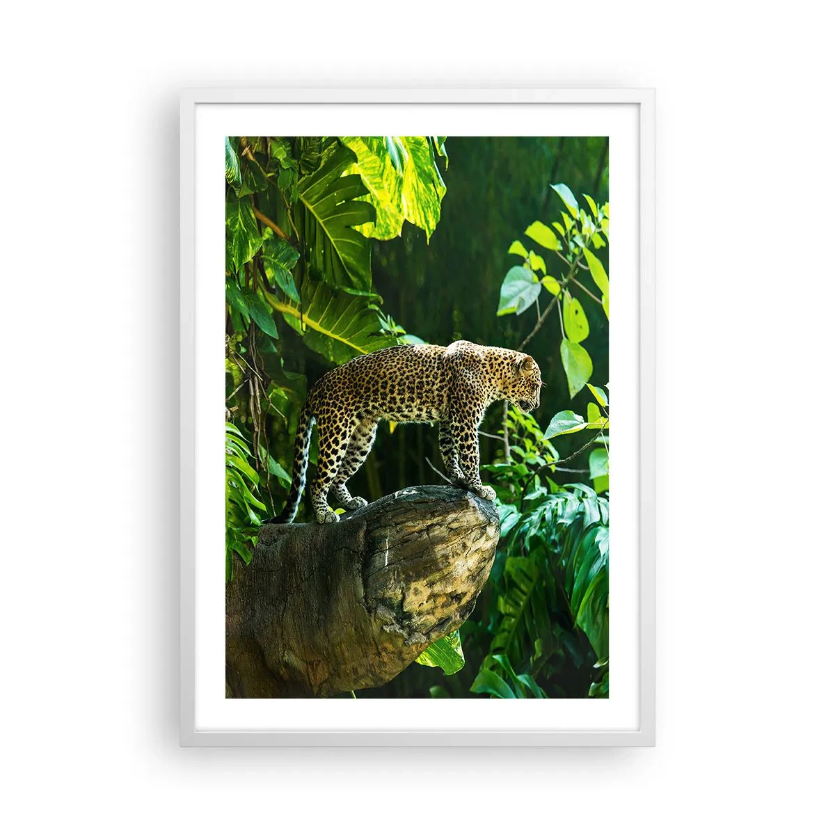 Affiche dans un cadre blanc - Poster - À la chasse? - 50x70 cm