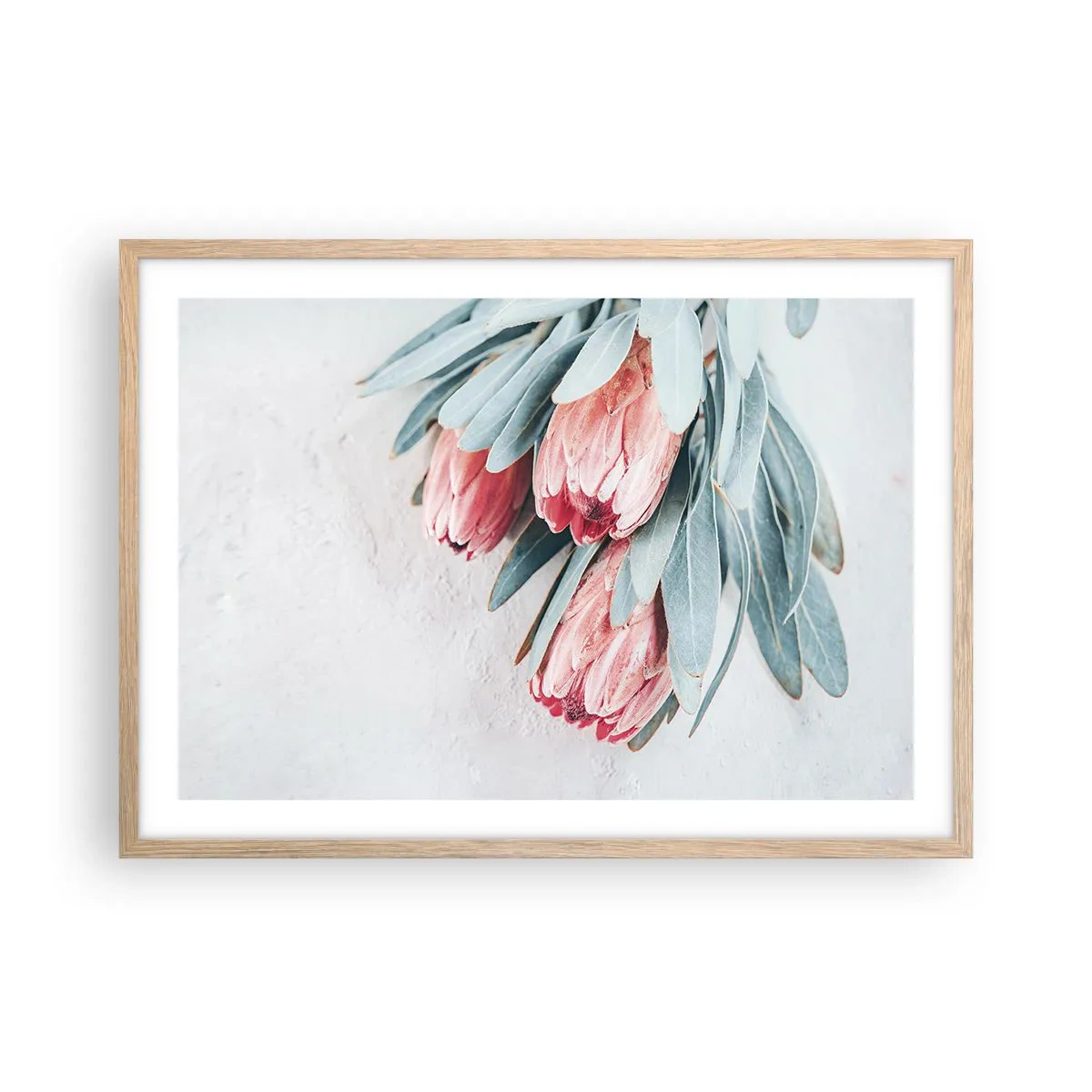 Affiche dans un chêne clair - Poster - Honte de leur propre beauté - 70x50 cm