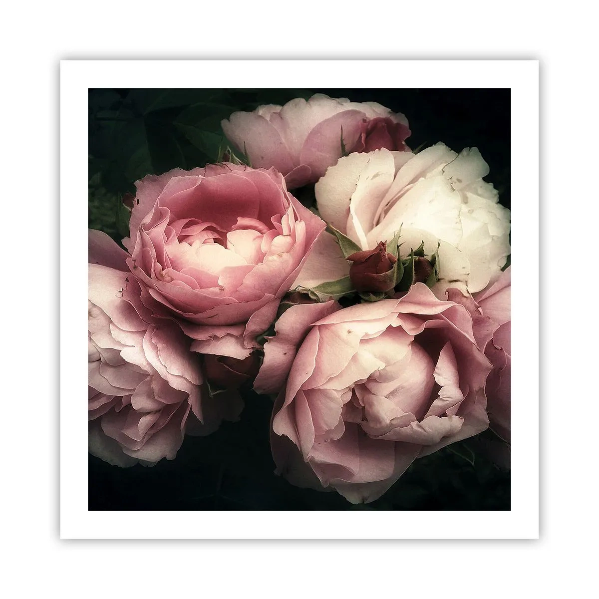 Affiche - Poster - Le charme de la belle époque - 60x60 cm