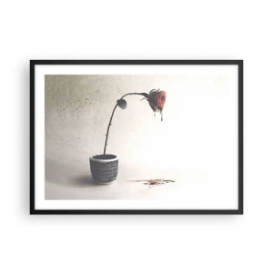 Affiche dans un cadre noir - Poster - Une rose rouge dans un pot avec des gouttes de colorant sur un fond blanc - 70x50cm - Rosa dolorosa - Décoration murale moderne pour le salon et la chambre ARTTOR