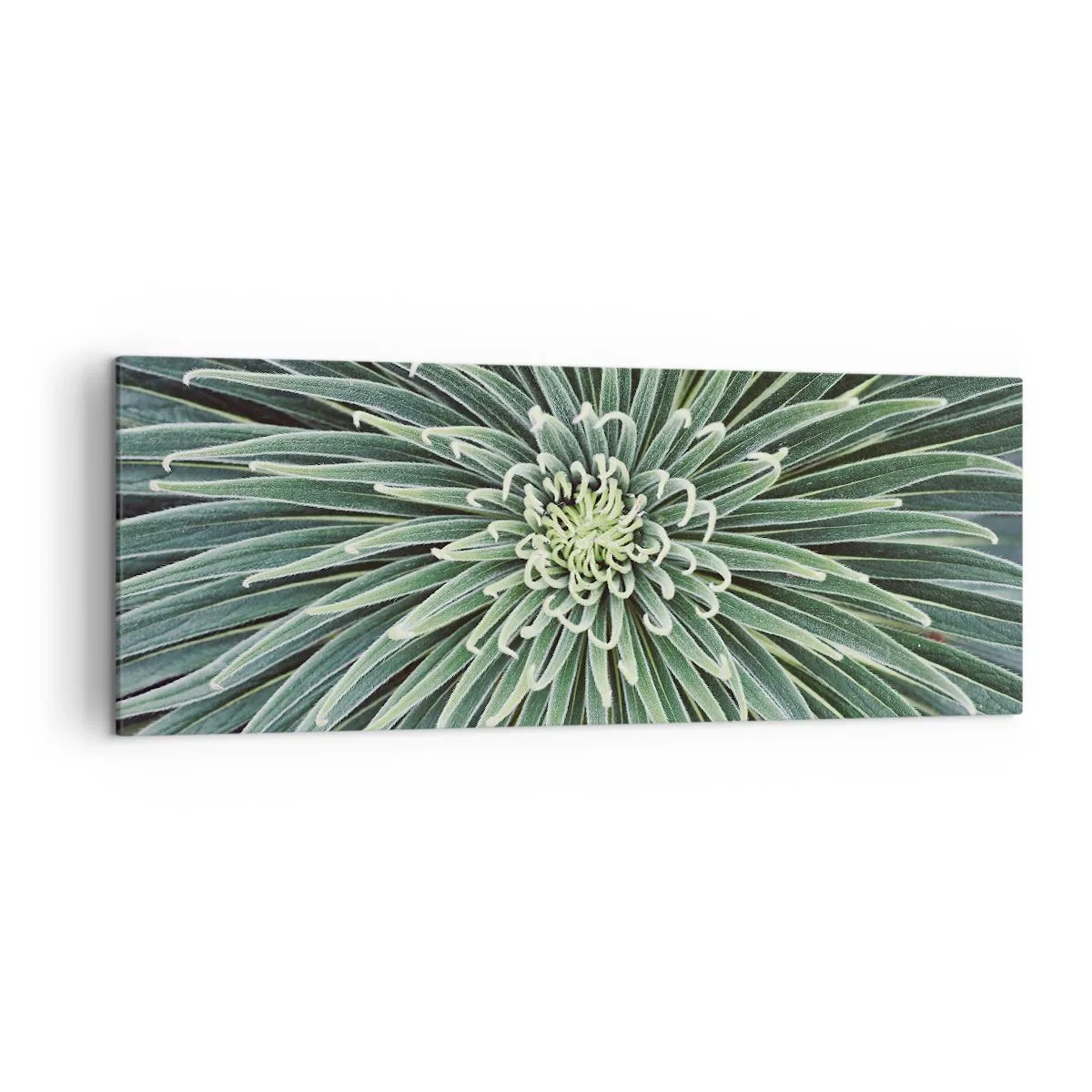 Impression sur toile - Image sur toile - Disposition symétrique de feuilles vertes ressemblant à une étoile - 140x50cm - Naissance d'une étoile - Décoration murale moderne pour le salon et la chambre ARTTOR