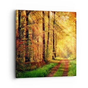 Impression sur toile - Image sur toile - Silence d'or en forêt - 40x40 cm