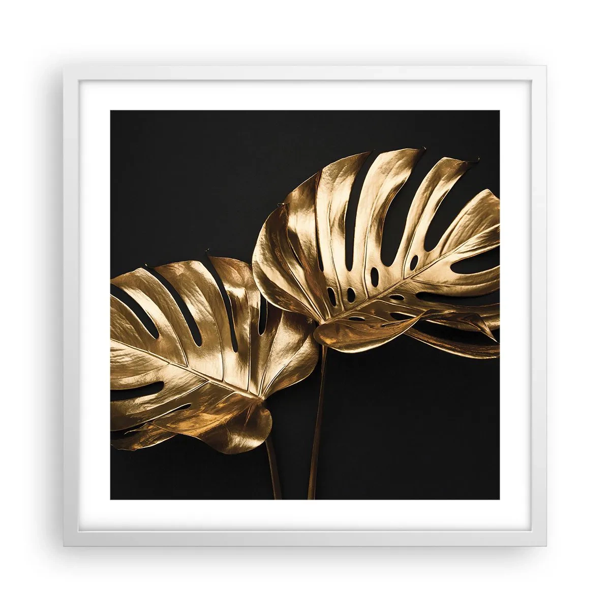 Affiche dans un cadre blanc - Poster - Les trésors de la nature - 50x50 cm