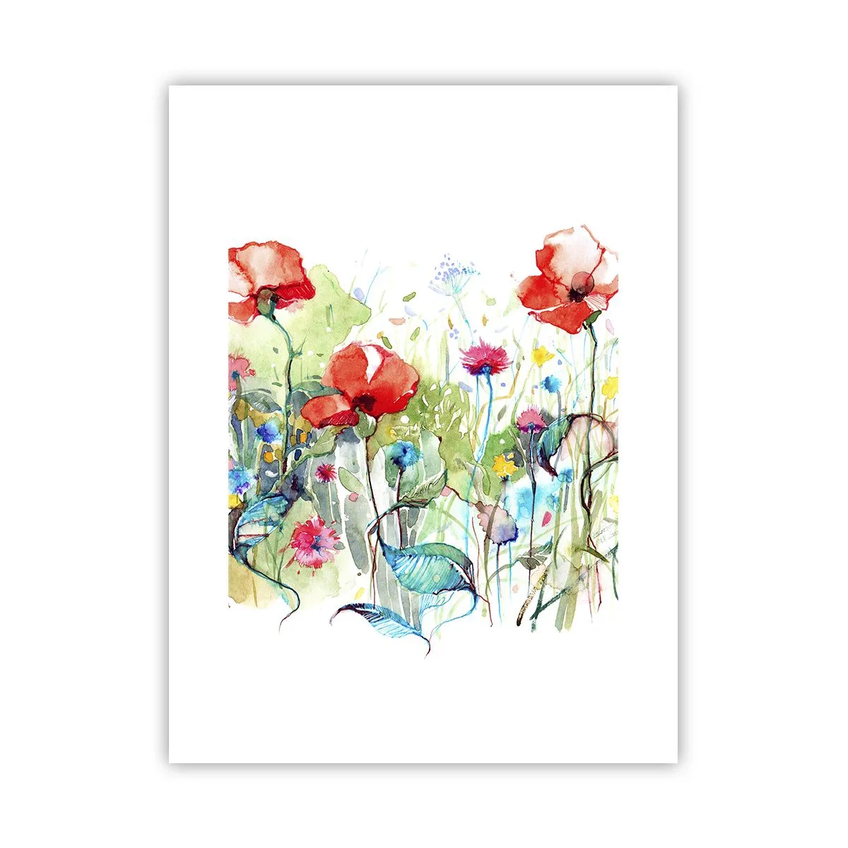 Affiche - Poster - Prairie de fleurs en mai - 30x40 cm
