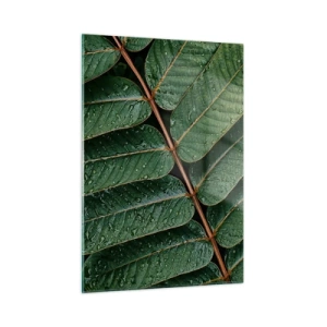 Impression sur verre - Image sur verre - Gros plan de feuilles vertes avec des gouttes d'eau - 50x70cm - Au rythme de la verdure - Décoration murale moderne pour le salon et la chambre ARTTOR