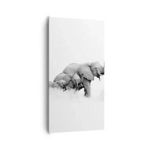 Impression sur toile - Image sur toile - Un, deux, trois - 65x120 cm