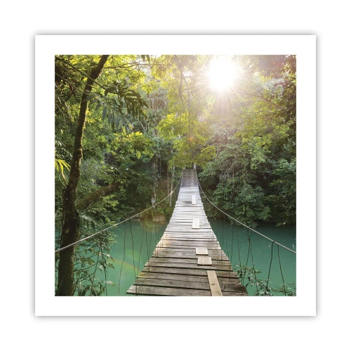 Affiche - Poster - De l'eau azur à la forêt azur - 50x50 cm