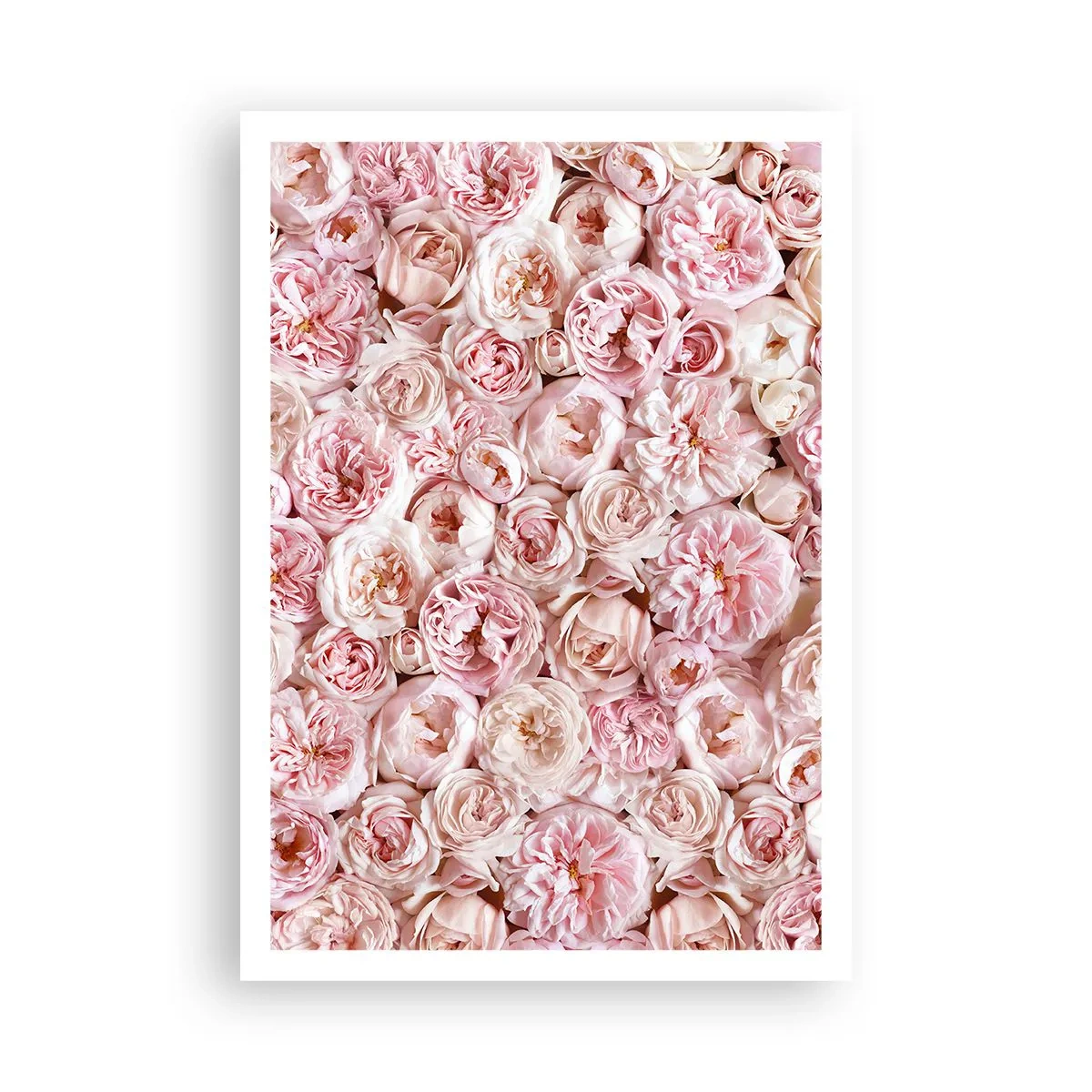 Affiche - Poster - Un lit de roses - 70x100 cm