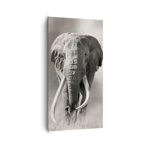 Impression sur toile - Image sur toile - Patriarche africain - 65x120 cm