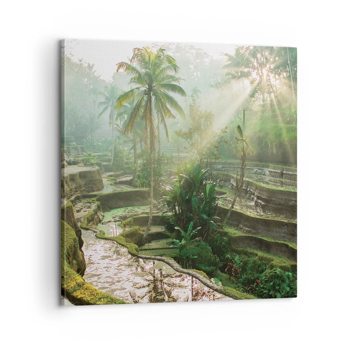 Impression sur toile - Image sur toile - Grandir au soleil - 60x60 cm