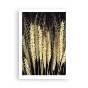 Affiche - Poster - Gros plan d'épis de blé sur fond noir - 50x70cm - Magie rustique - Décoration murale moderne pour le salon et la chambre ARTTOR