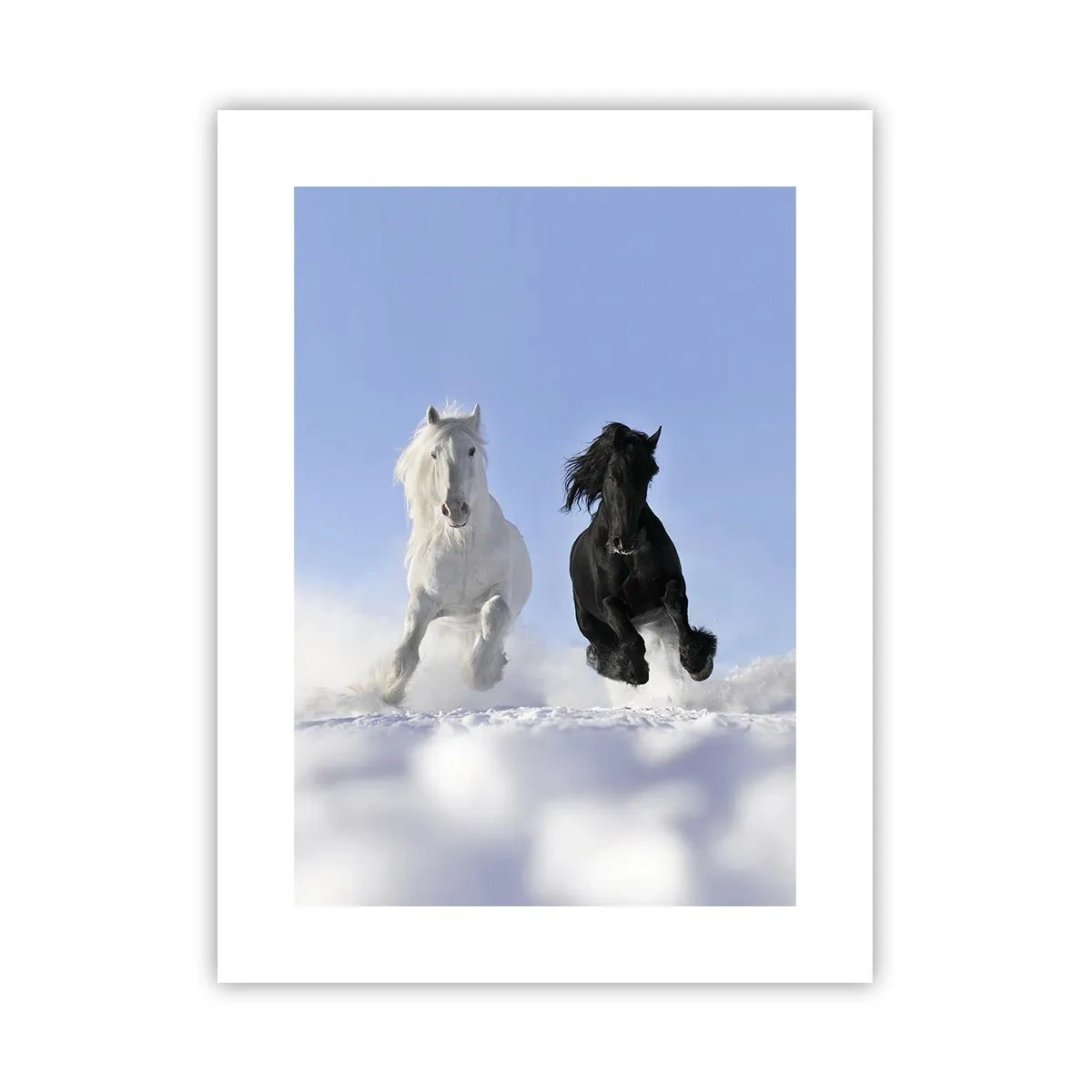 Affiche - Poster - Galop noir et blanc - 30x40 cm