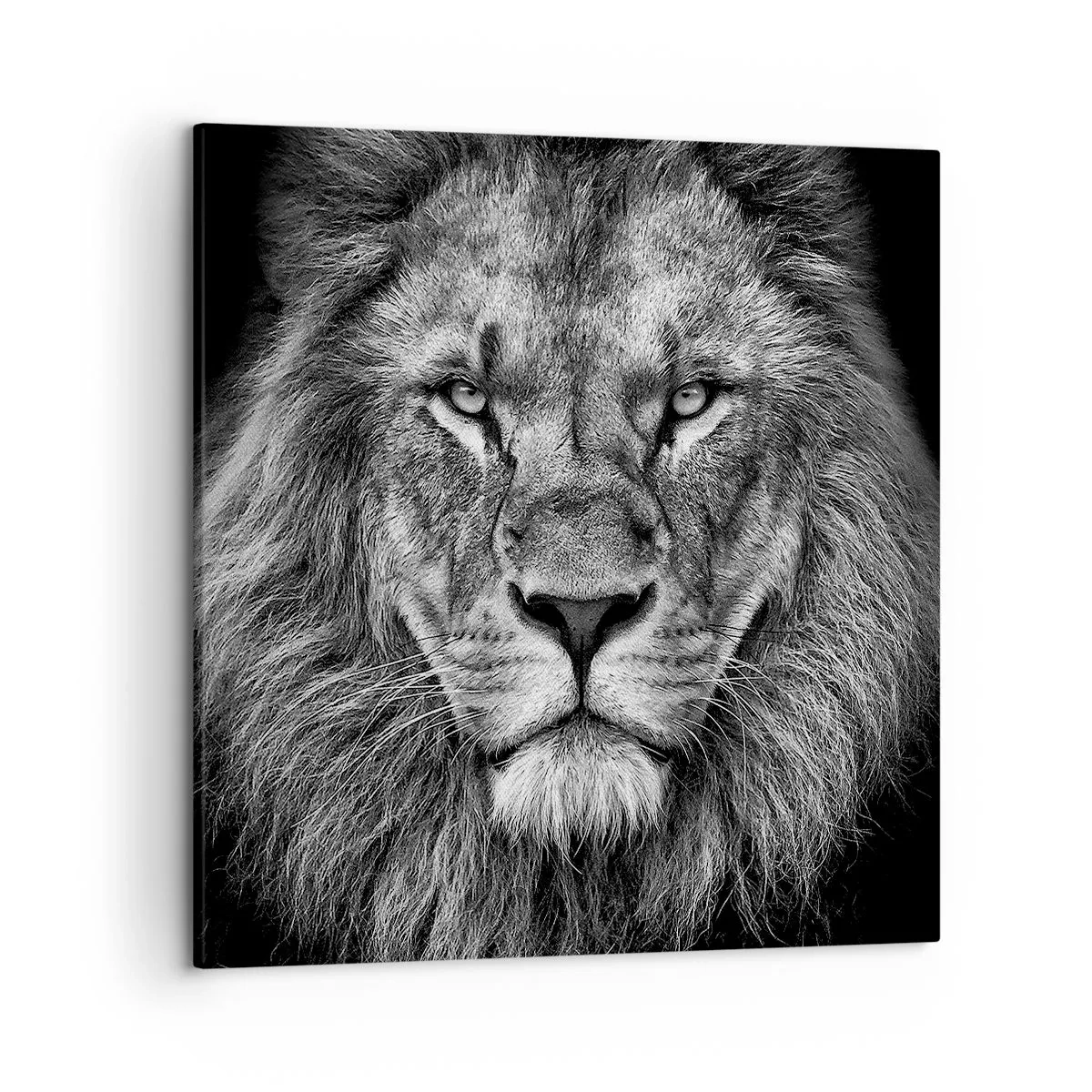 Impression sur toile - Image sur toile - En vêtement de sacre - 50x50 cm