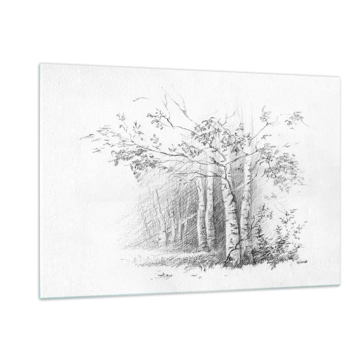 Impression sur verre - Image sur verre - Croquis d'une forêt de bouleaux aux tons monochromes - 120x80cm - Lumière d'une forêt de bouleaux - Décoration murale moderne pour le salon et la chambre ARTTOR