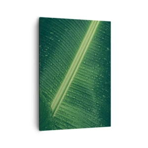 Impression sur toile - Image sur toile - Une feuille verte avec des gouttes d'eau à sa surface - 50x70cm - Structure de vert - Décoration murale moderne pour le salon et la chambre ARTTOR