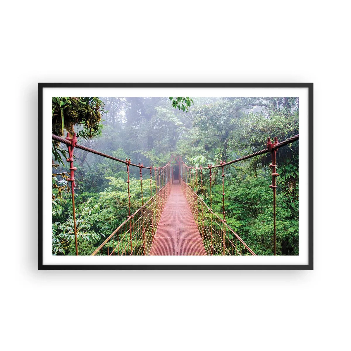 Affiche dans un cadre noir - Poster - Suspendu sur les couronnes - 91x61 cm