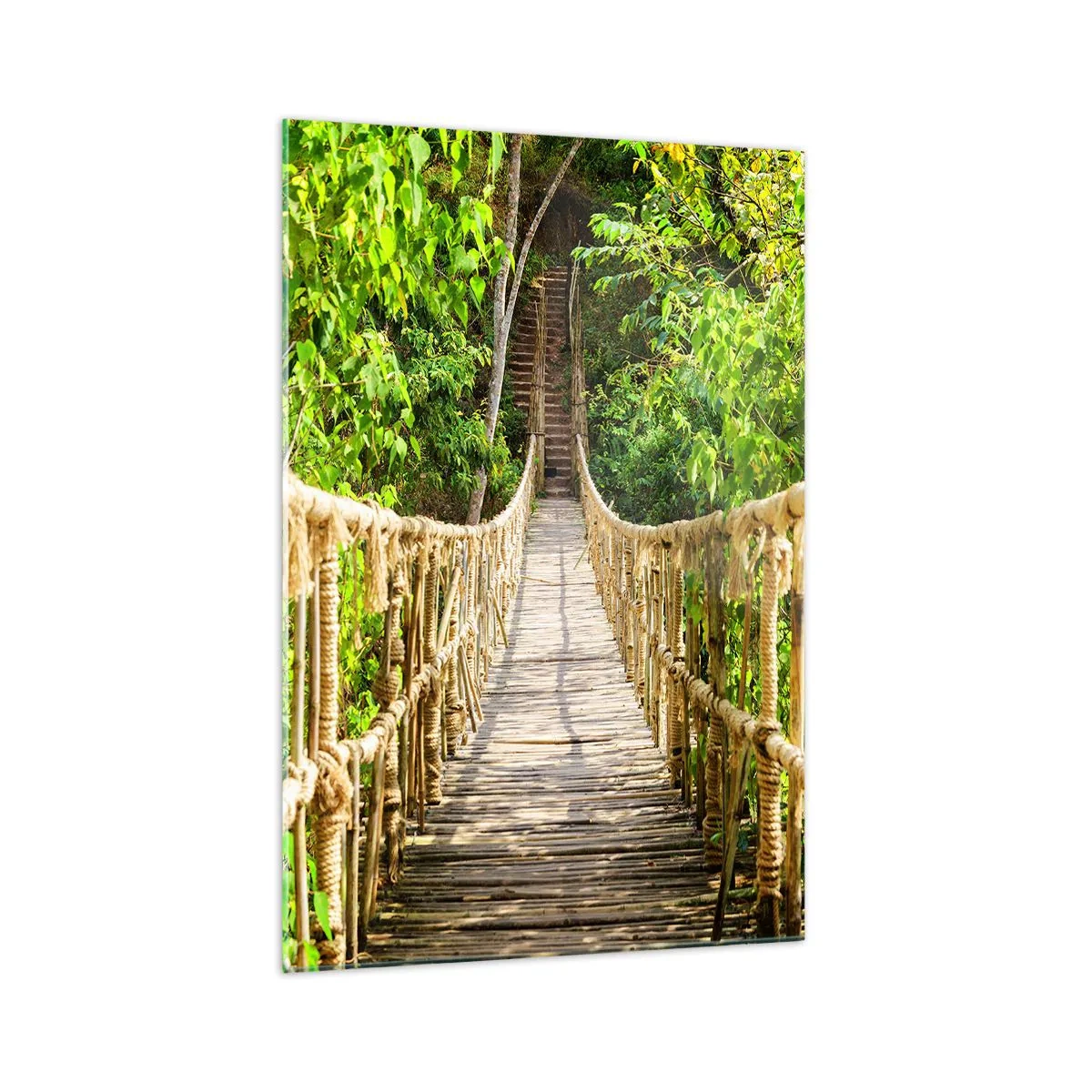 Impression sur verre - Image sur verre - Un pont suspendu dans une forêt tropicale pleine de verdure - 70x100cm - Suspendu dans la nature - Décoration murale moderne pour le salon et la chambre ARTTOR