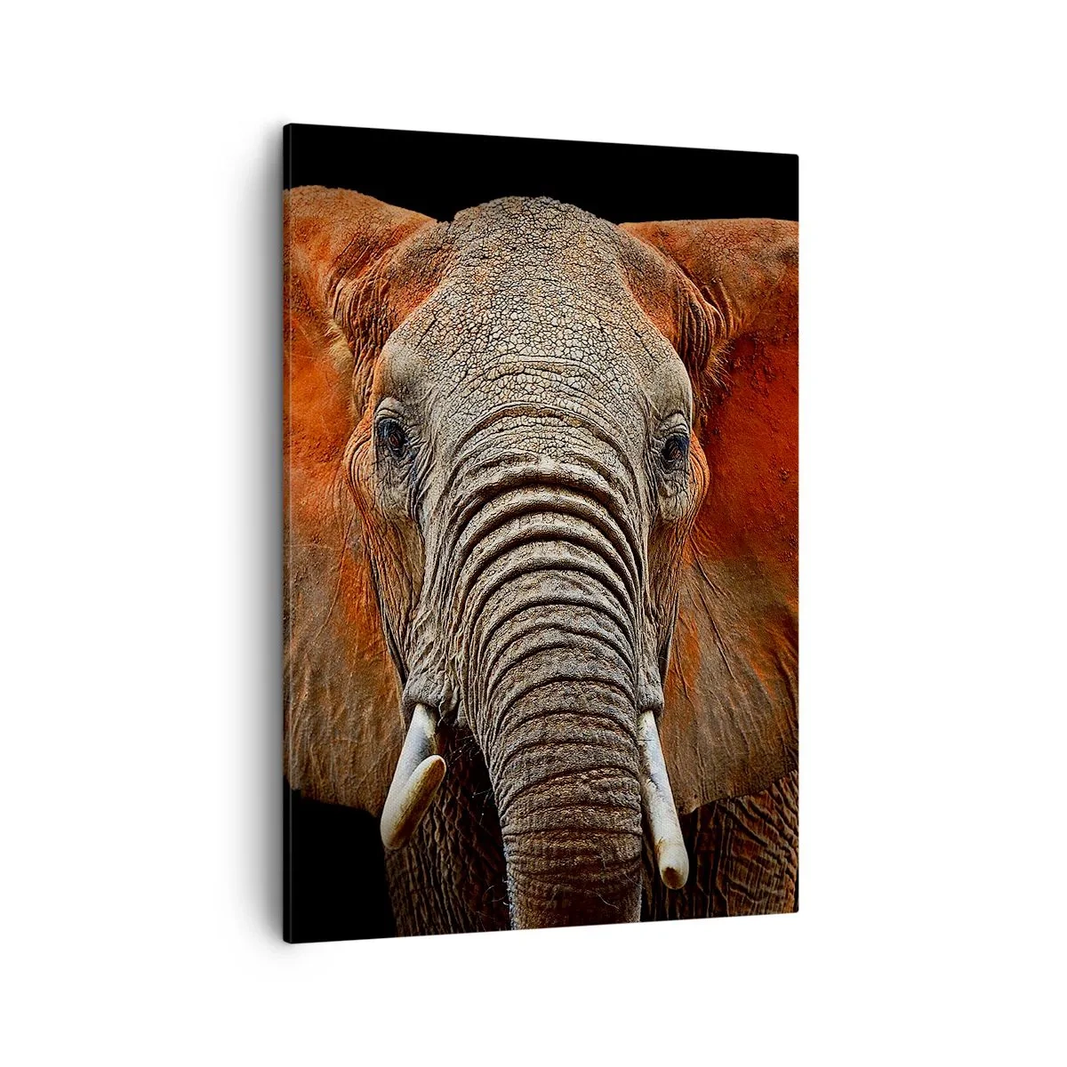 Impression sur toile - Image sur toile - Portrait d'un éléphant sur fond noir - 50x70cm - Je suis sauvage, et toi? - Décoration murale moderne pour le salon et la chambre ARTTOR