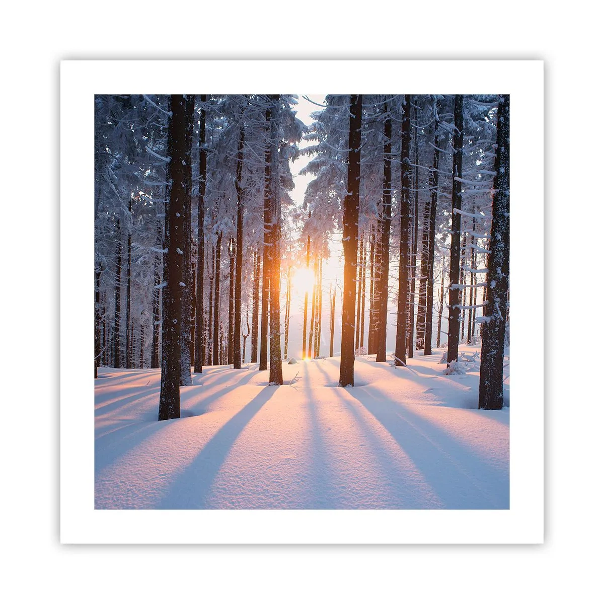 Affiche - Poster - Clairement en noir et blanc - 50x50 cm