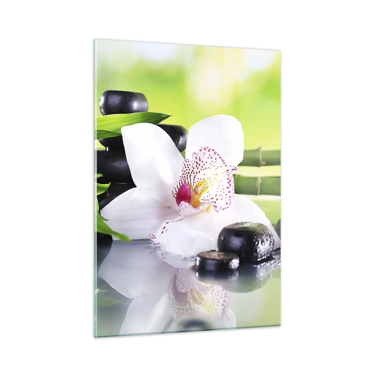 Impression sur verre - Image sur verre - Orchidée, bambou et pierres noires sur fond vert - 50x70cm - Raffraîchissement de fraîcheur - Décoration murale moderne pour le salon et la chambre ARTTOR