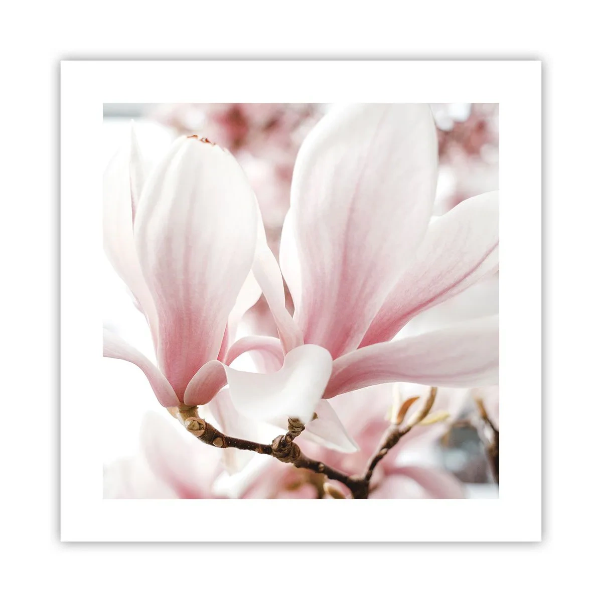 Affiche - Poster - Abondance de tendresse - 40x40 cm