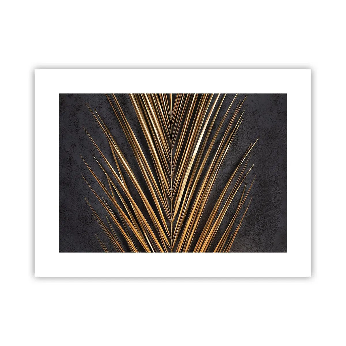 Affiche - Poster - L'or des tropiques - 40x30 cm