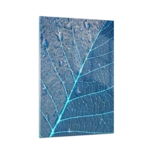 Impression sur verre - Image sur verre - Une feuille dans des tons bleus avec des gouttes d'eau - 80x120cm - La vie en bleu - Décoration murale moderne pour le salon et la chambre ARTTOR